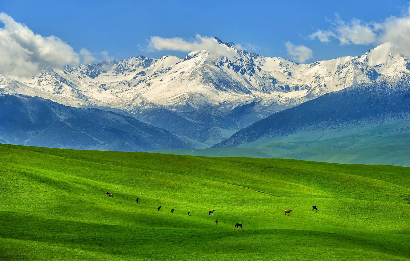 Mountains